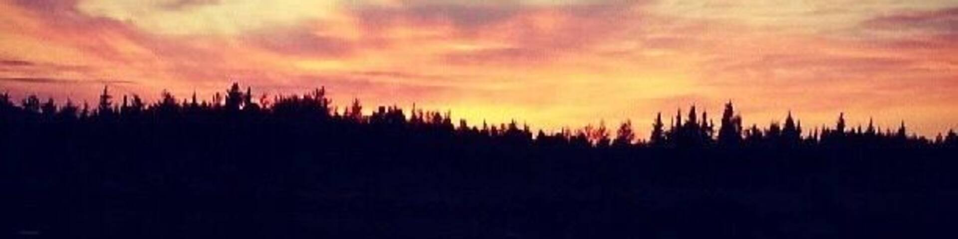 A sunset over a calm lake with silhouettes of trees and vegetation in the foreground.