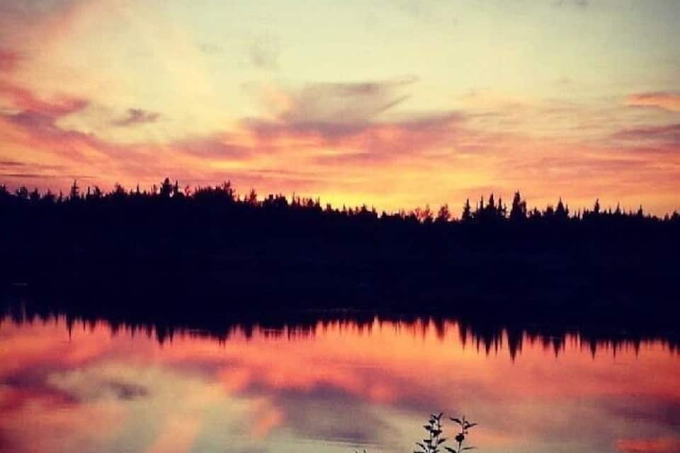 A sunset over a calm lake with silhouettes of trees and vegetation in the foreground.