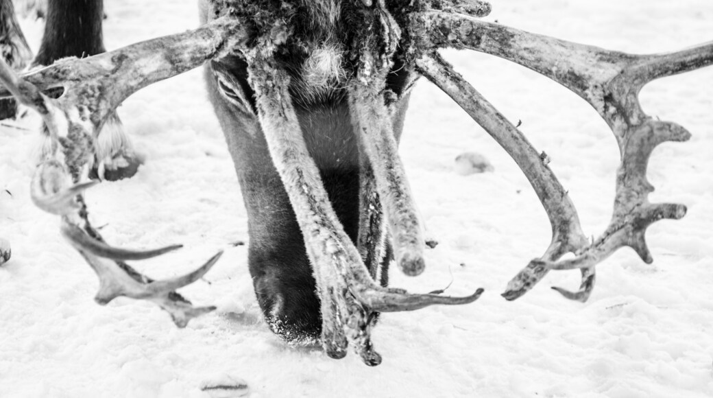 #lifeatexpedia #Nature