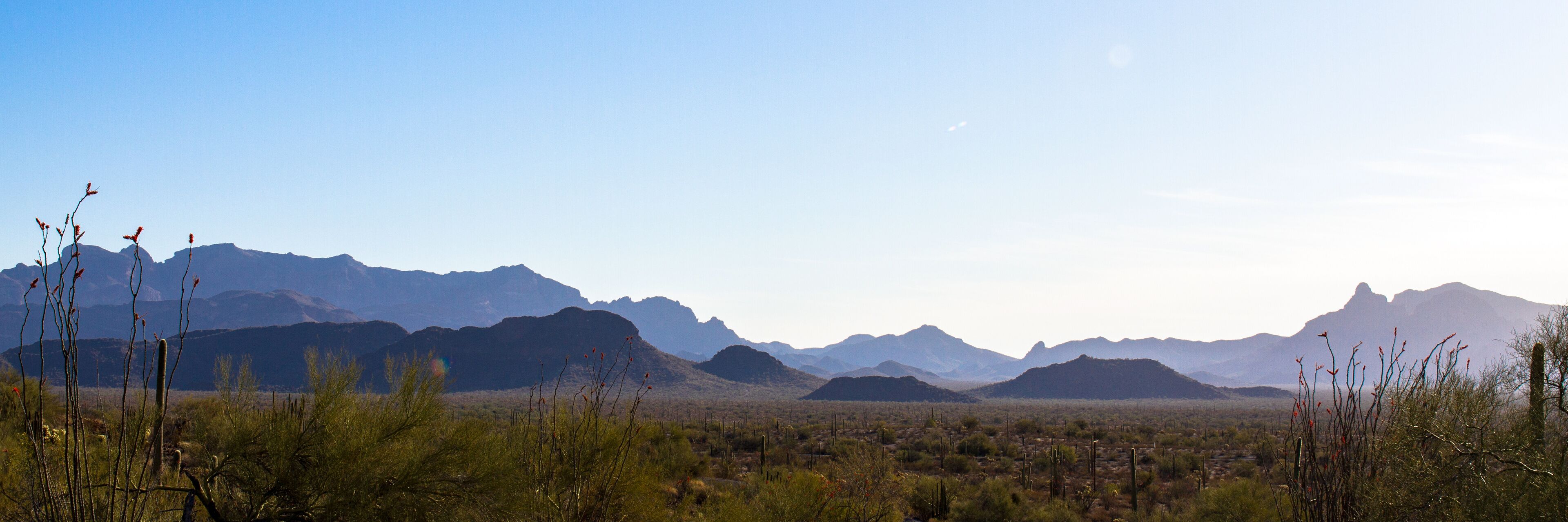 A desert landscape with sparse vegetation, including cacti and small shrubs, and distant mountain ranges under a clear sky.