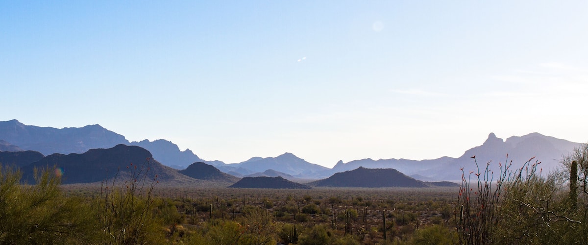 A desert landscape with sparse vegetation, including cacti and small shrubs, and distant mountain ranges under a clear sky.