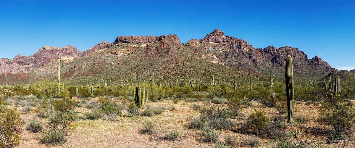 Panoramic View of Ajo Mountains in Organ Pipe Cactus National Monument