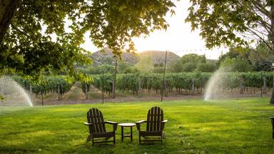 Lawn chairs in grass sprinklers and vineyard in background
