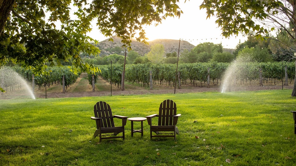 A grassy area with two Adirondack chairs and a small table, surrounded by a vineyard with rows of grapevines and a hill in the background.