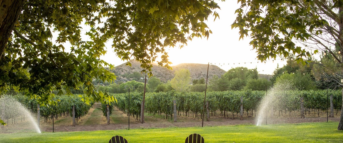 A grassy area with two Adirondack chairs and a small table, surrounded by a vineyard with rows of grapevines and a hill in the background.