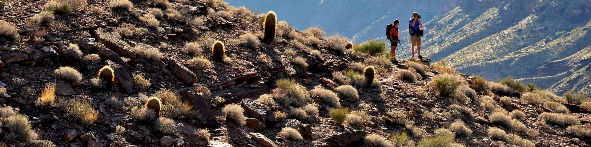 Hikers follow a route along the Colorado River that connect Tapeats Creek and Thunder River to Deer Creek in the Grand Canyon outside of Fredonia, Arizona November 2011.