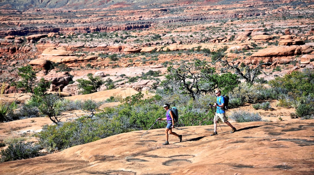 Hikers on the sandstone Esplanade of the Thunder River Trail below the North Rim of the Grand Canyon outside Fredonia, Arizona November 2011.