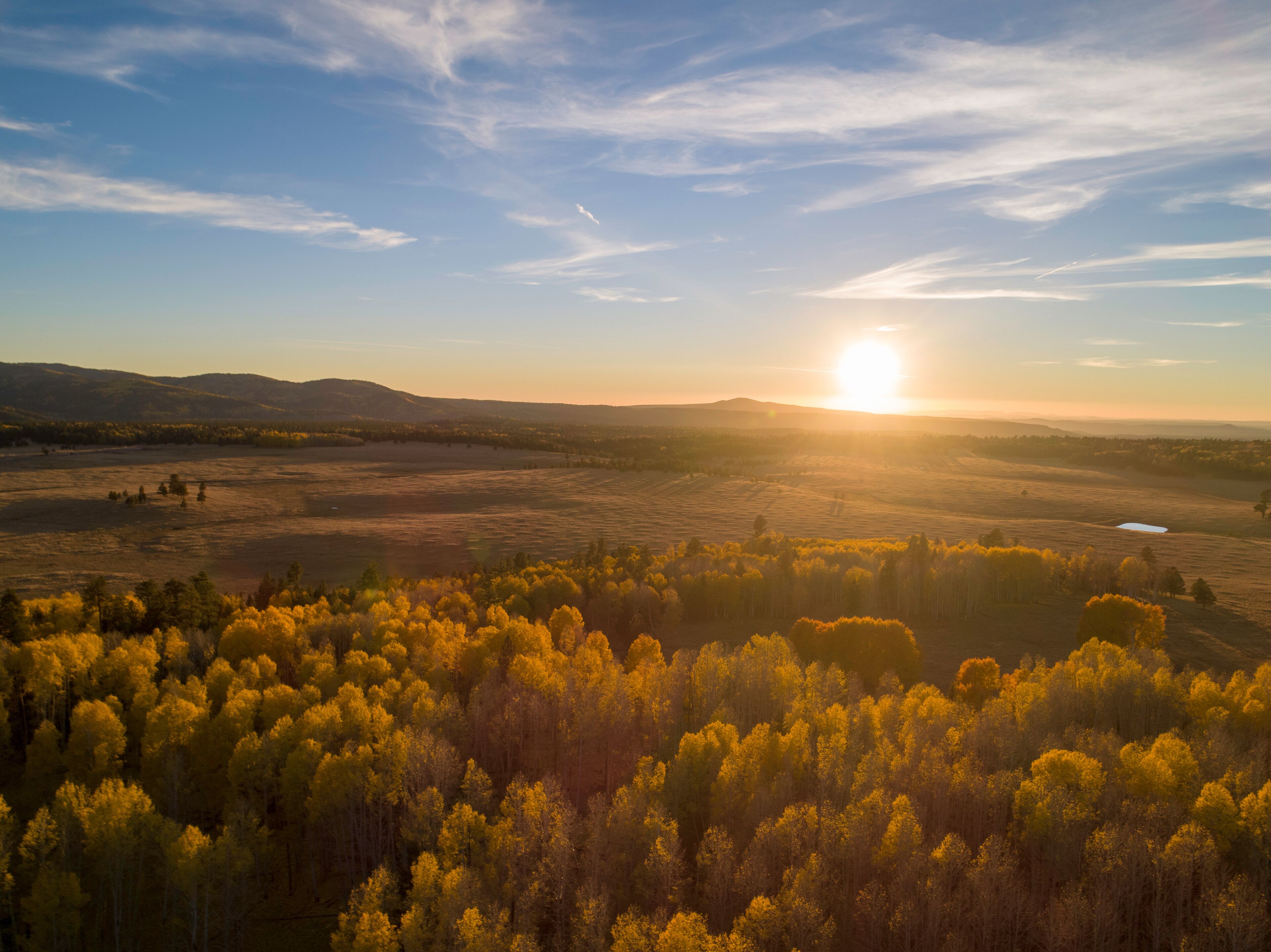 Arizona's Fall Colors