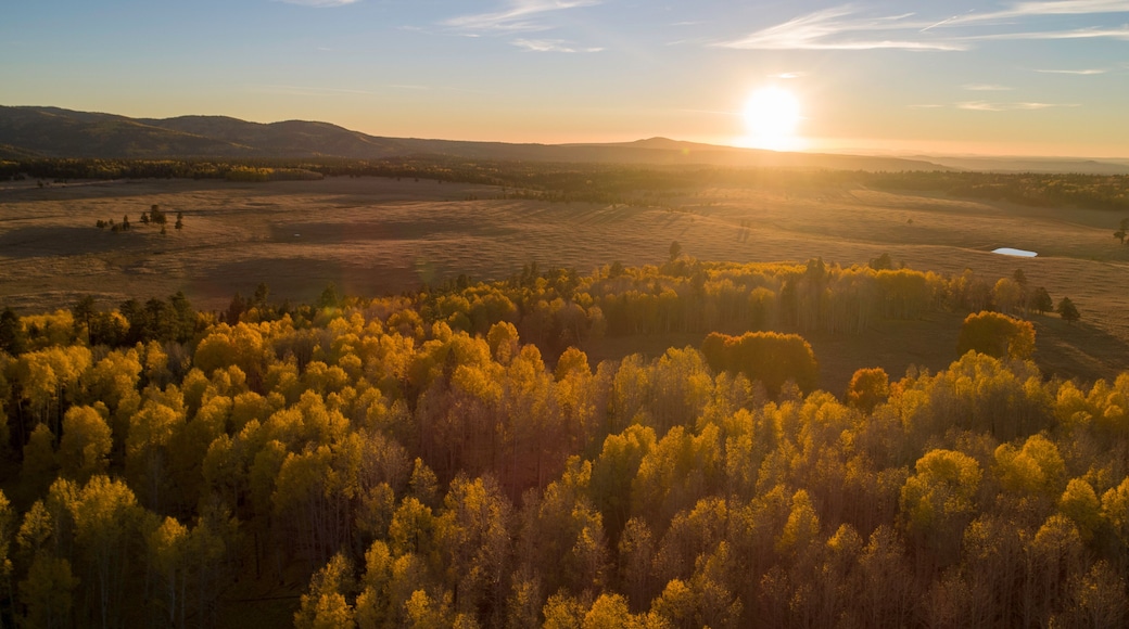 Arizona's Fall Colors