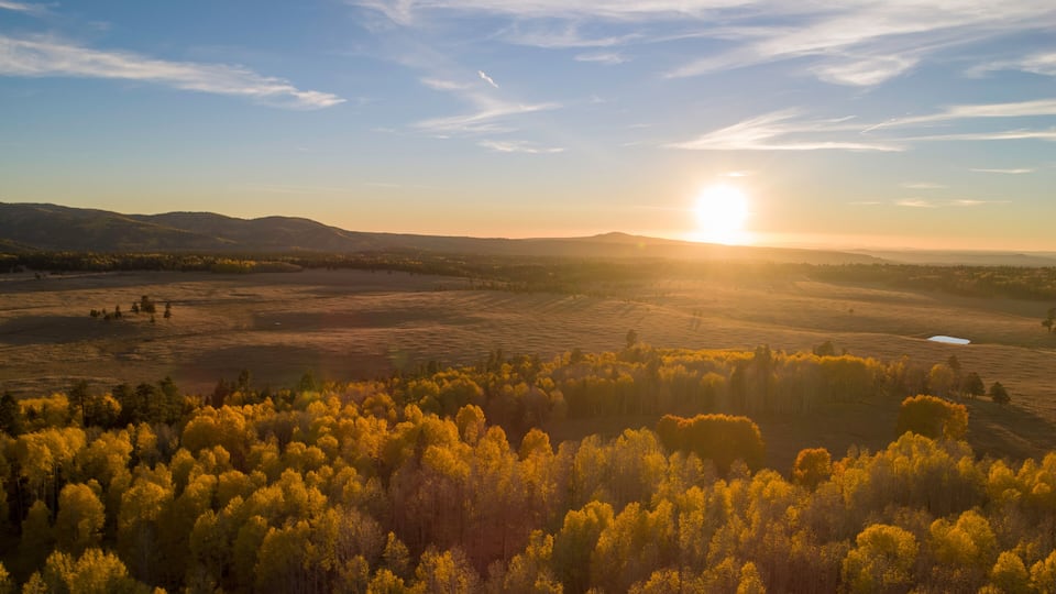 A sunset over a forested landscape with a clear sky.