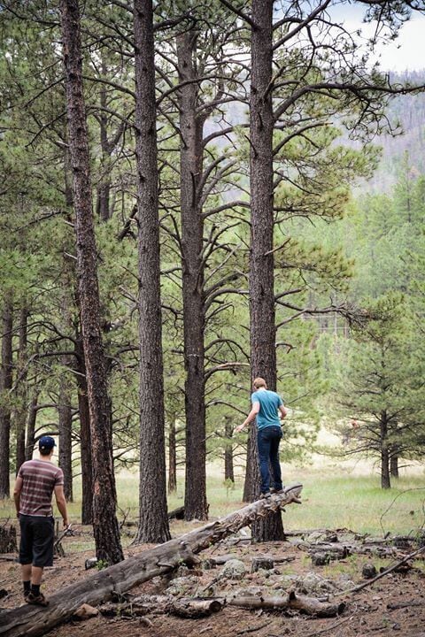 A great hike, with a big pond and wild raspberries to eat. #Green
