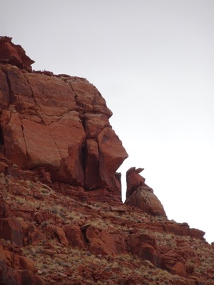 The wonders of Arizona