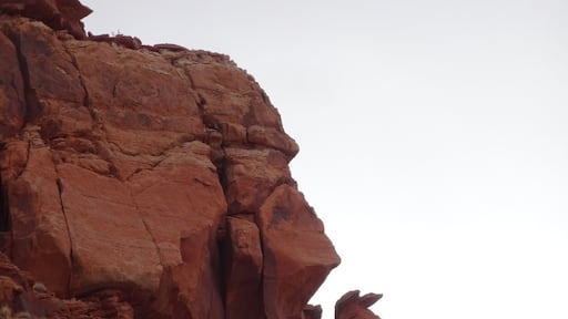 The wonders of Arizona