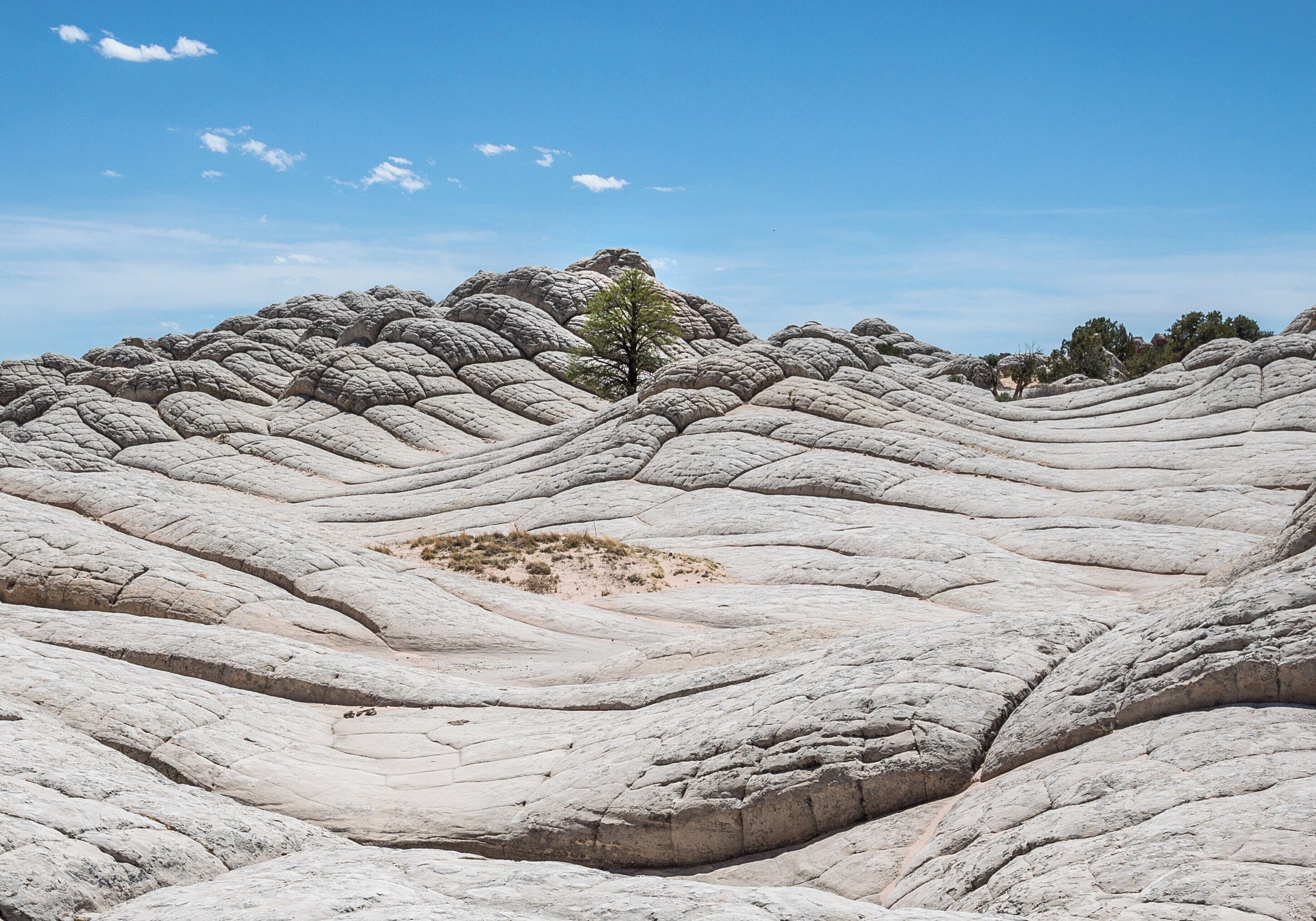 White Pocket is a geological feature, or rather a set of geological features in the Vermilion Cliffs National Monument in Arizona. It's not very easy to get to: a couple of hour of difficult 4 wheel drive roads. But seeing  the colors and patterns in the sandstone are worth it!


#LifeAtExpedia
#patterns
