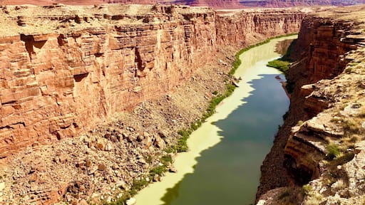 The Grand Canyon itself is an amazing destination, however, there are so many great sites and destinations near or on the trip to the Grand Canyon. Stumbled upon this beautiful site on the journey to the north rim! There’s a great NPS visitor center here. There is a great treat of a population of California condors (an extremely endangered species for those who are unaware... as I was prior to my visit). There are also native artists selling beautiful works if you take the beautiful walk across to the other side of the bridge:)