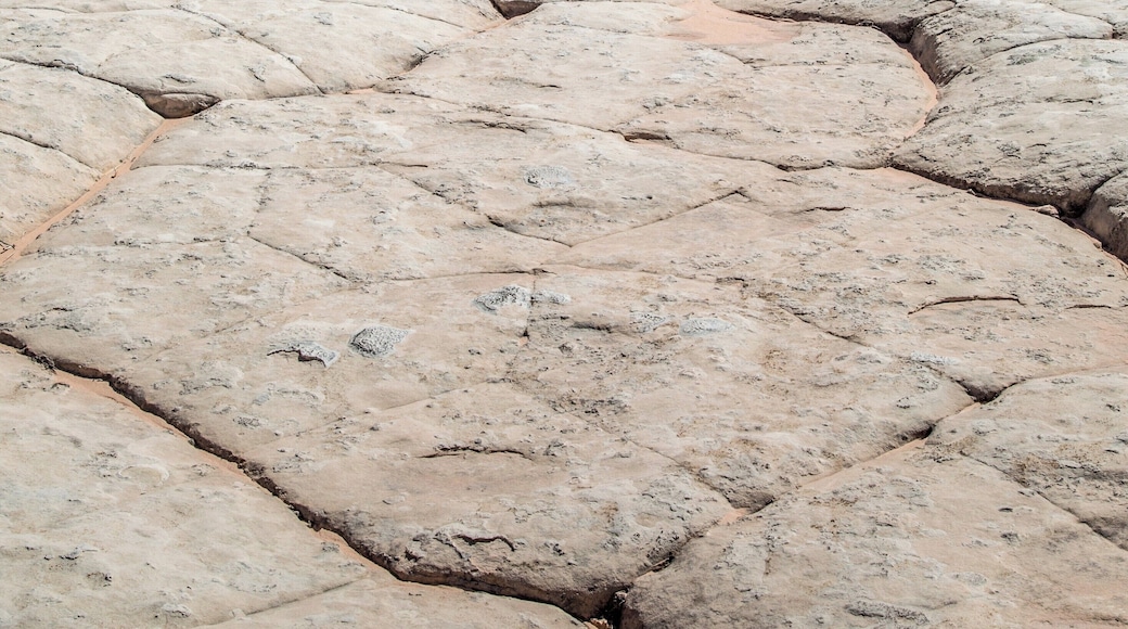 White Pocket is a geological feature, or rather a set of geological features in the Vermilion Cliffs National Monument in Arizona. It's not very easy to get to: a couple of hour of difficult 4 wheel drive roads. But seeing the colors and patterns in the sandstone are worth it!
#LifeAtExpedia
#patterns