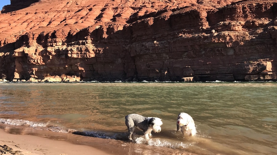 Playing in the Colorado River!