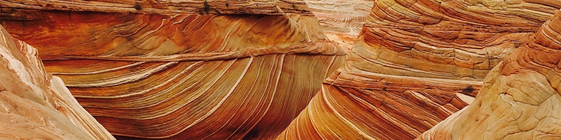 Lottery permits will let you hike and explore this colorful and unique sandstone formation in The Coyote Buttes North at The Vermillion Cliffs and Paria Wilderness!! Worth the hike!
#SpringFun
#Golden
#Nature Photo Contest