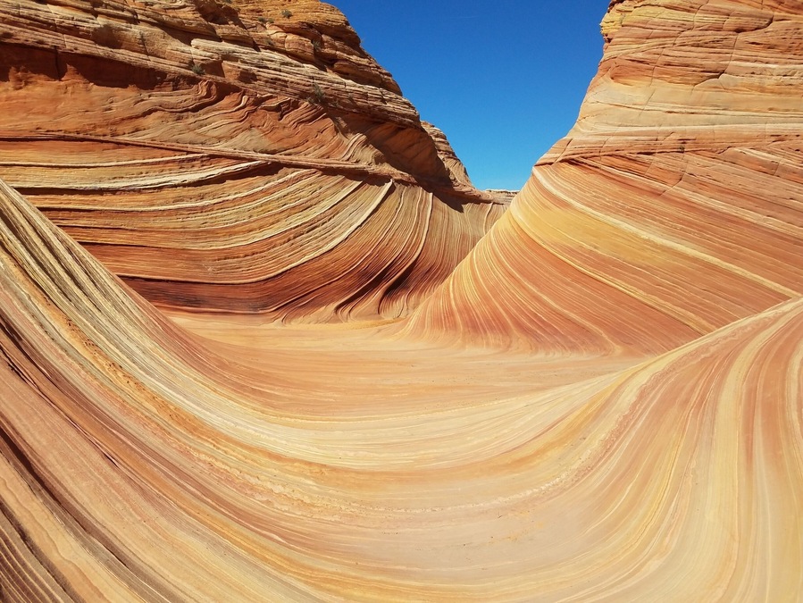 Great hike over various kinds of terrain. Definitely worth winning the lottery for!