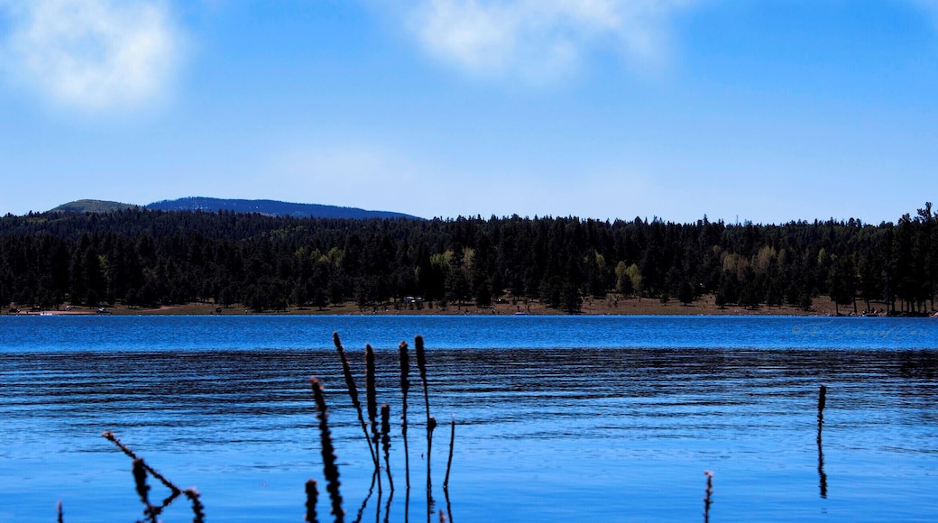 The view all around the lake is just beautiful