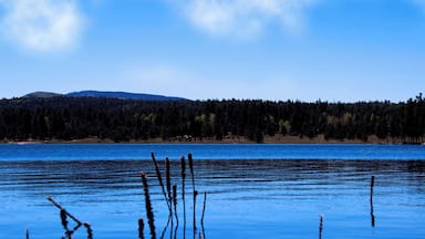 The view all around the lake is just beautiful