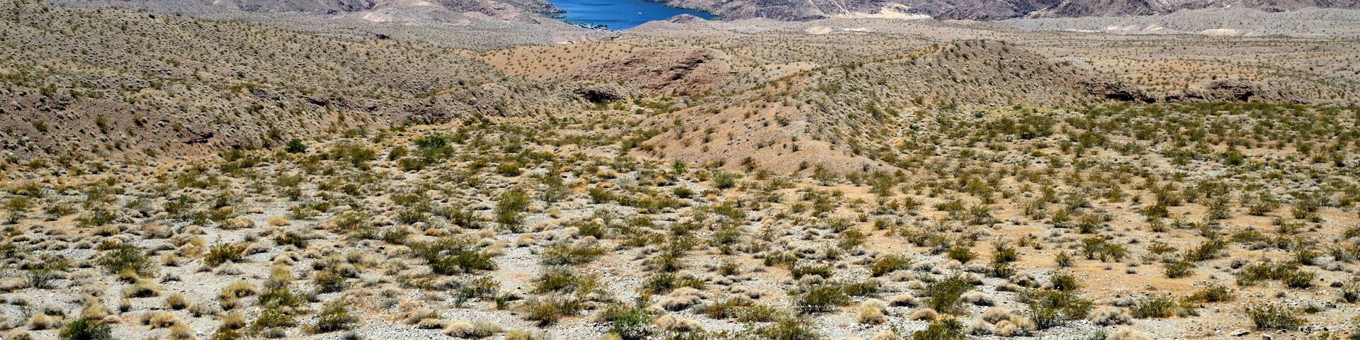Landscapes on Pierce Ferry Road, Meadview. Grand Canyon National park, Arizona, USA