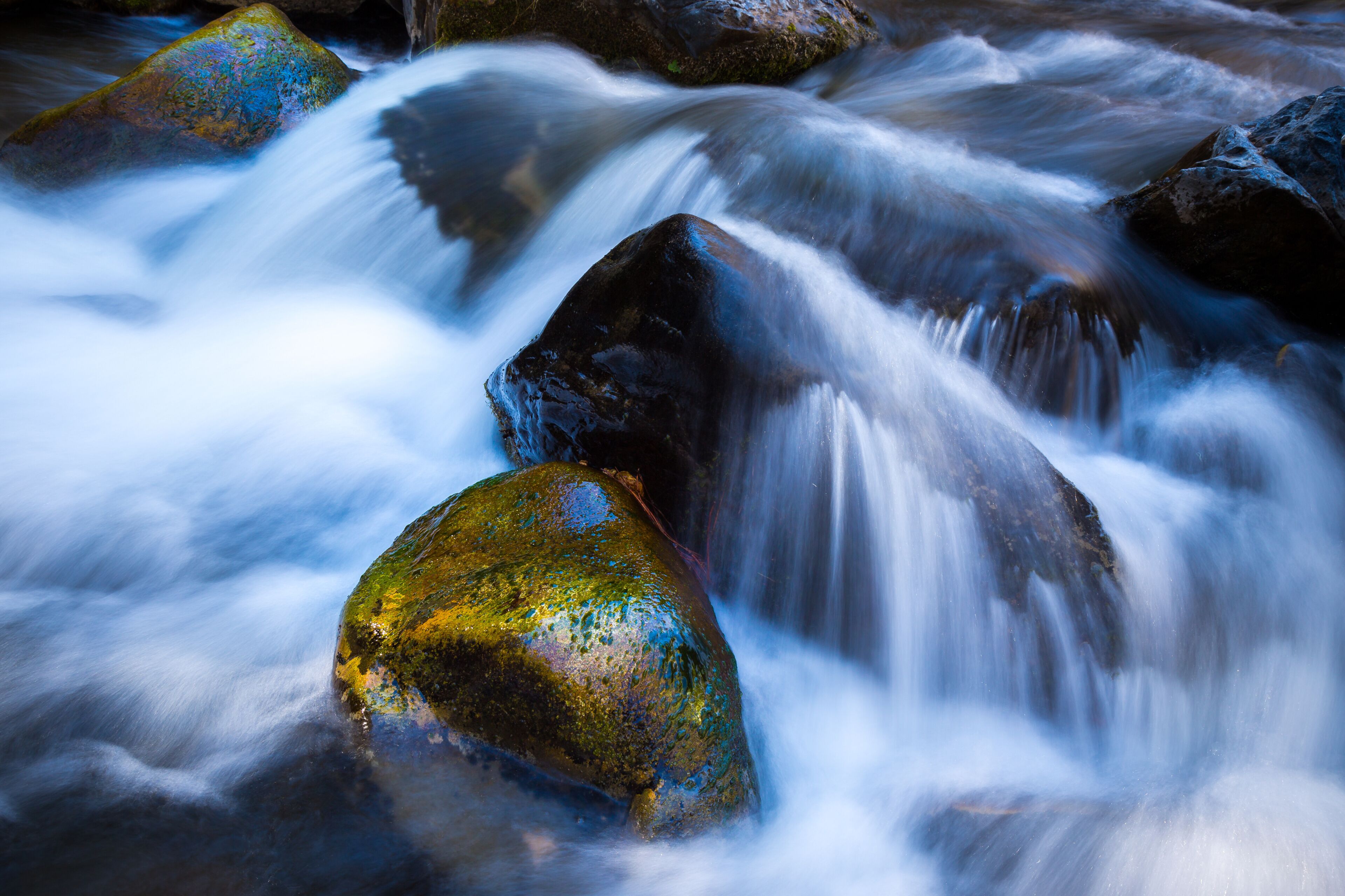 Oak Creek in Northern Arizona