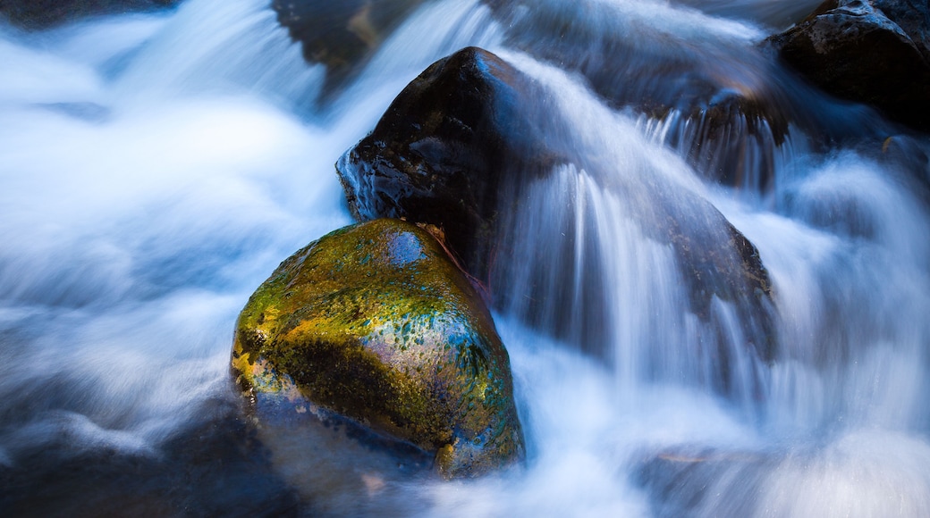 Oak Creek in Northern Arizona