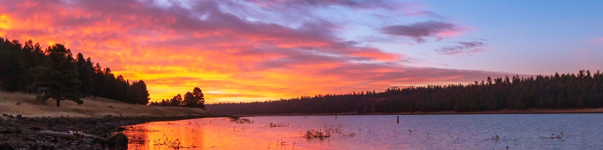 Um pôr do sol sobre um lago com margem arborizada.