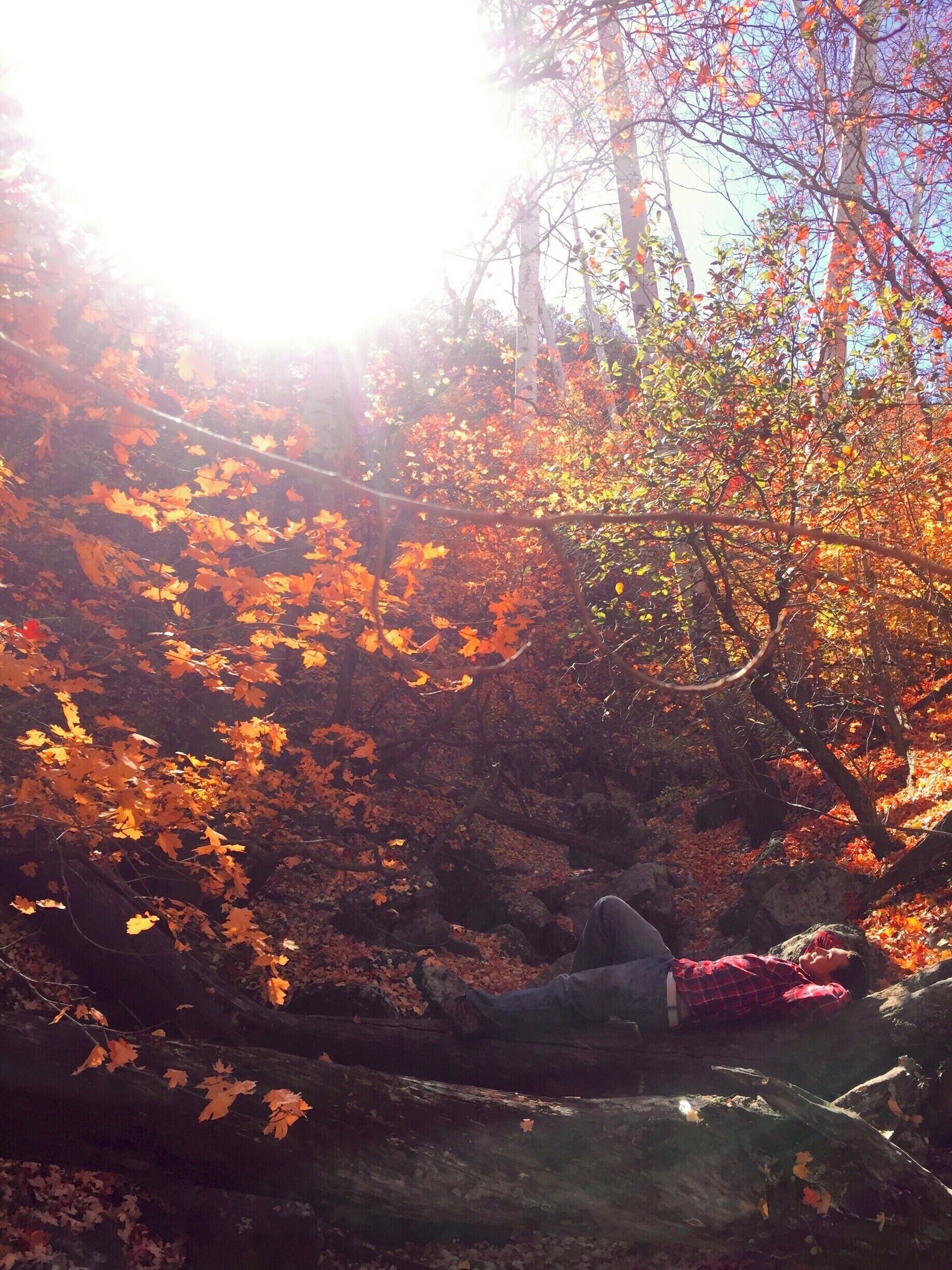 Autumn along Ash Creek. #Bestof5