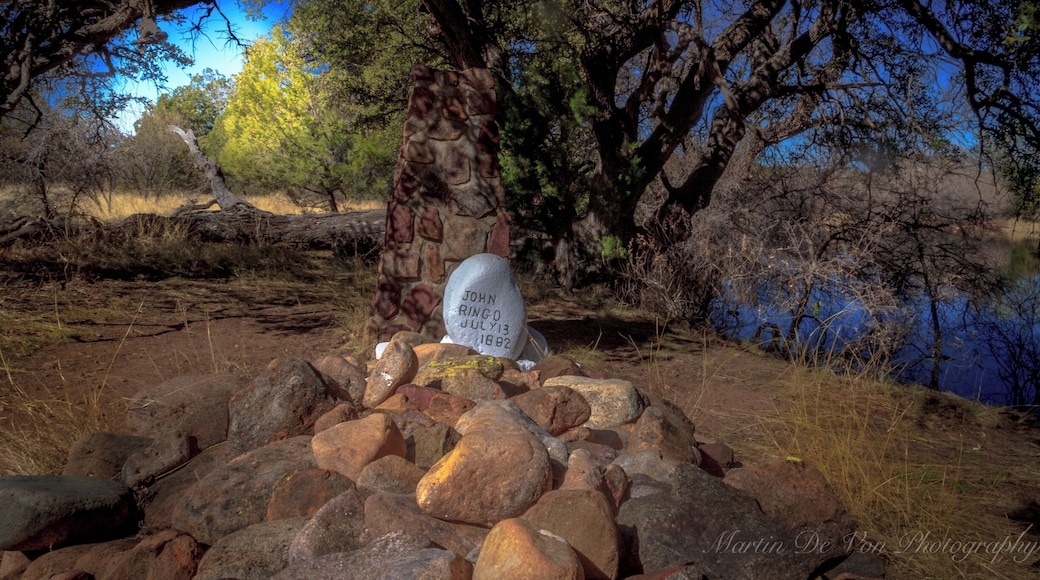 If tourists truly want to see Tombstone, you need to visit Ringo’s Grave, too. It’s a must-see.
A lonely place, dark and sullen under a giant five-stemmed blackjack oak. You might not believe in Old West lore, but you are heedful when you approach it.
It’s the place where John Ringo died. The tree where he supposedly shot himself in the head with his Colt .45, ending an apparently troubled life.
In front of the tree on the west side of Turkey Creek near the Chiricahua Mountain foothills is a body-length cairn with a scratch-worded epitaph:
“The remains of this noted gunman and outlaw lie here . . . A coroner’s jury reported the death to be suicide, and Ringo was buried on the spot. There were others who viewed the body and maintained that the July 13, 1882 death of Ringo was murder.”
Ringo the legend has had more extravagant claims about him than Wyatt Earp, Billy the Kid, Wild Bill Hickok, Jesse James and Buffalo Bill combined, writes author Jack Burrows in “John Ringo: The Gunfighter Who Never Was.”
There is a feeling he was “a coward and a backshooter,” Duhanich says. “But he did stand up to Doc Holliday.”
Area newspapers, including those in Tucson, bought the Ringo myth of him being a deadly gunslinger, but the closest he apparently came to killing anyone was when he got mad at a guy in a Safford bar who declined his offer of whiskey for a beer. Ringo shot him point-blank, but hit only his ear.
His judged suicide may be the most compelling story. He was cradled in the tree, the rifle placed carefully against it, boots hanging nearby on his saddle. And he was partially scalped.
One rumor was Wyatt Earp was after him. But the close range angle of the bullet to the right temple clearly indicated the wound was self-inflicted.