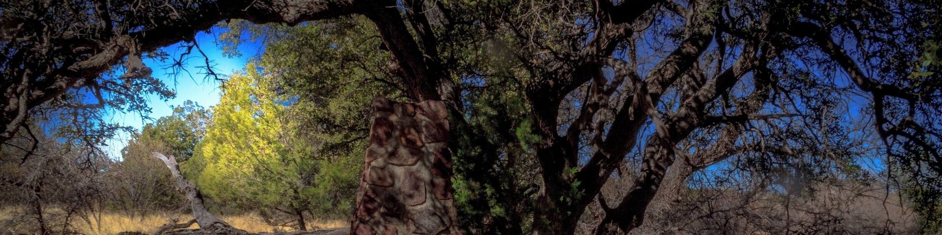 If tourists truly want to see Tombstone, you need to visit Ringo’s Grave, too. It’s a must-see.
A lonely place, dark and sullen under a giant five-stemmed blackjack oak. You might not believe in Old West lore, but you are heedful when you approach it.
It’s the place where John Ringo died. The tree where he supposedly shot himself in the head with his Colt .45, ending an apparently troubled life.
In front of the tree on the west side of Turkey Creek near the Chiricahua Mountain foothills is a body-length cairn with a scratch-worded epitaph:
“The remains of this noted gunman and outlaw lie here . . . A coroner’s jury reported the death to be suicide, and Ringo was buried on the spot. There were others who viewed the body and maintained that the July 13, 1882 death of Ringo was murder.”
Ringo the legend has had more extravagant claims about him than Wyatt Earp, Billy the Kid, Wild Bill Hickok, Jesse James and Buffalo Bill combined, writes author Jack Burrows in “John Ringo: The Gunfighter Who Never Was.”
There is a feeling he was “a coward and a backshooter,” Duhanich says. “But he did stand up to Doc Holliday.”
Area newspapers, including those in Tucson, bought the Ringo myth of him being a deadly gunslinger, but the closest he apparently came to killing anyone was when he got mad at a guy in a Safford bar who declined his offer of whiskey for a beer. Ringo shot him point-blank, but hit only his ear.
His judged suicide may be the most compelling story. He was cradled in the tree, the rifle placed carefully against it, boots hanging nearby on his saddle. And he was partially scalped.
One rumor was Wyatt Earp was after him. But the close range angle of the bullet to the right temple clearly indicated the wound was self-inflicted.