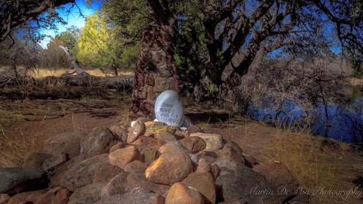 If tourists truly want to see Tombstone, you need to visit Ringo’s Grave, too. It’s a must-see.
A lonely place, dark and sullen under a giant five-stemmed blackjack oak. You might not believe in Old West lore, but you are heedful when you approach it.
It’s the place where John Ringo died. The tree where he supposedly shot himself in the head with his Colt .45, ending an apparently troubled life.
In front of the tree on the west side of Turkey Creek near the Chiricahua Mountain foothills is a body-length cairn with a scratch-worded epitaph:
“The remains of this noted gunman and outlaw lie here . . . A coroner’s jury reported the death to be suicide, and Ringo was buried on the spot. There were others who viewed the body and maintained that the July 13, 1882 death of Ringo was murder.”
Ringo the legend has had more extravagant claims about him than Wyatt Earp, Billy the Kid, Wild Bill Hickok, Jesse James and Buffalo Bill combined, writes author Jack Burrows in “John Ringo: The Gunfighter Who Never Was.”
There is a feeling he was “a coward and a backshooter,” Duhanich says. “But he did stand up to Doc Holliday.”
Area newspapers, including those in Tucson, bought the Ringo myth of him being a deadly gunslinger, but the closest he apparently came to killing anyone was when he got mad at a guy in a Safford bar who declined his offer of whiskey for a beer. Ringo shot him point-blank, but hit only his ear.
His judged suicide may be the most compelling story. He was cradled in the tree, the rifle placed carefully against it, boots hanging nearby on his saddle. And he was partially scalped.
One rumor was Wyatt Earp was after him. But the close range angle of the bullet to the right temple clearly indicated the wound was self-inflicted.