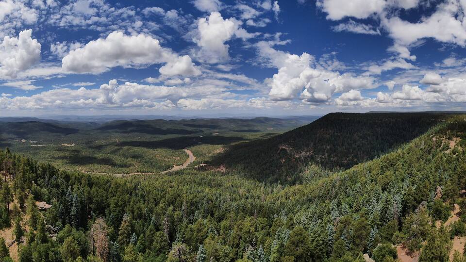 A winding road through a forested valley with a mountain range in the background.