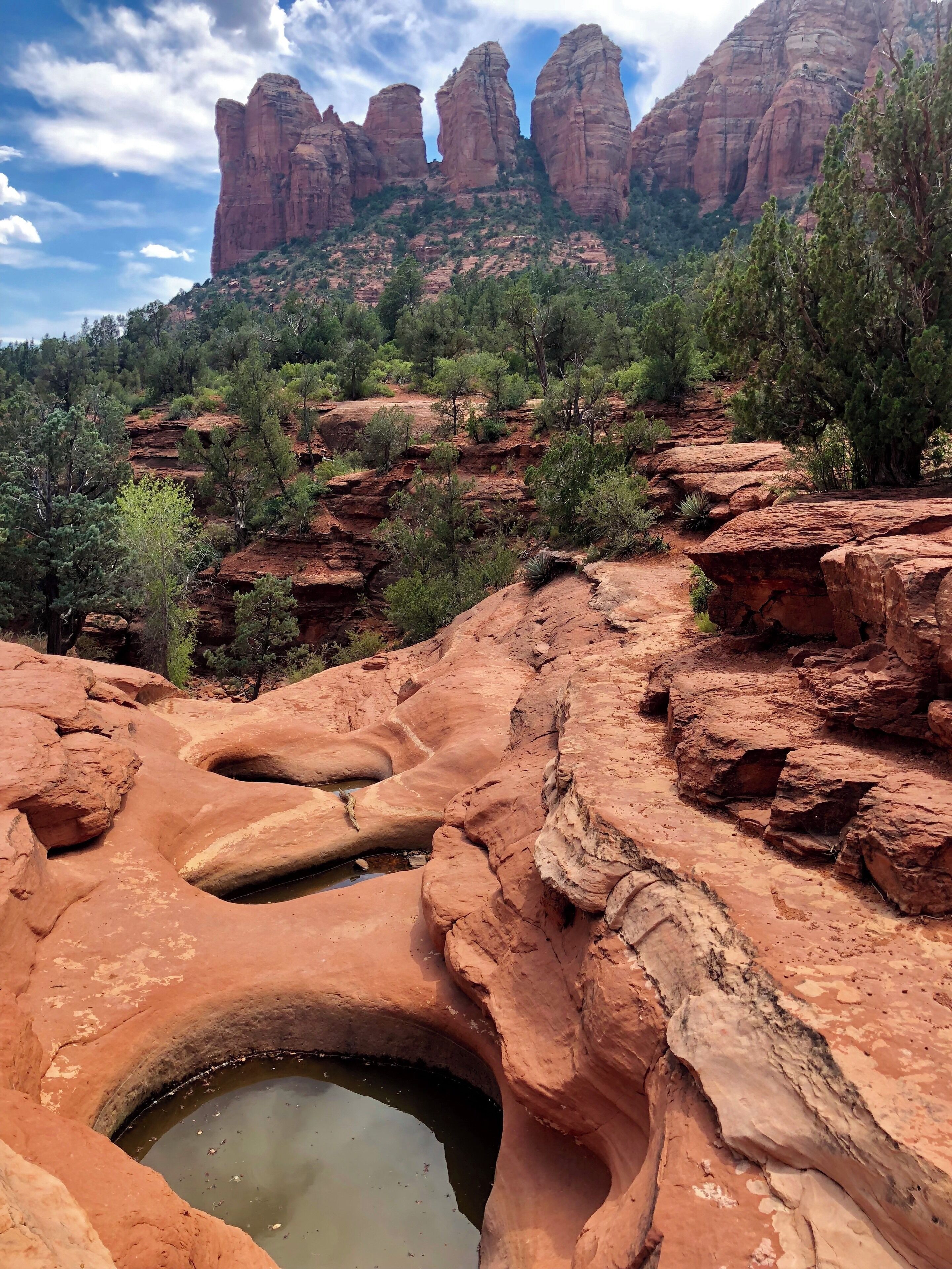 When hiking this time of year in Sedona it can be hard to avoid the crowds. We found Soldiers Pass Trail has less hikers than many of the other more popular  trails, yet still exhibits interesting pools, a sinkhole and stunning views!