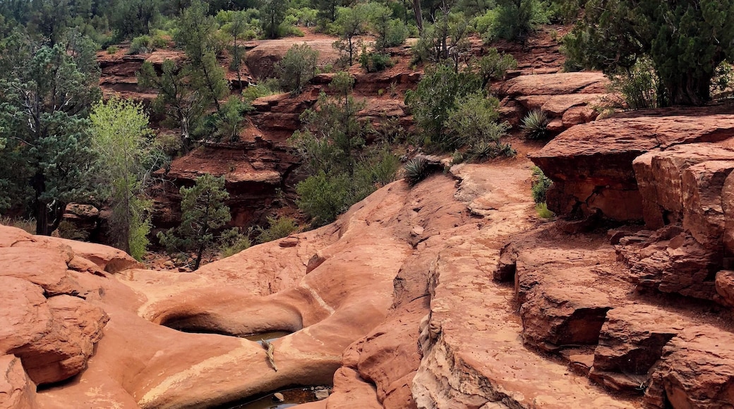 When hiking this time of year in Sedona it can be hard to avoid the crowds. We found Soldiers Pass Trail has less hikers than many of the other more popular trails, yet still exhibits interesting pools, a sinkhole and stunning views!