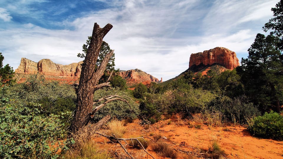 Views from Sedona, Arizona / Scene Out West; Shutterstock ID 226940539