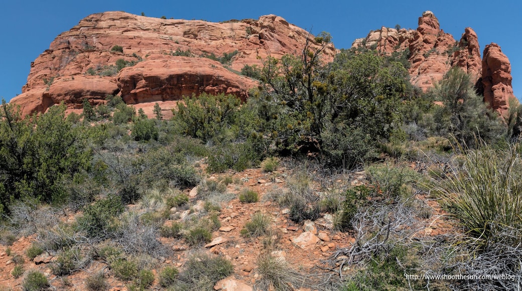 At the very foot of Bear Mountain.
Or, you know, the paw...