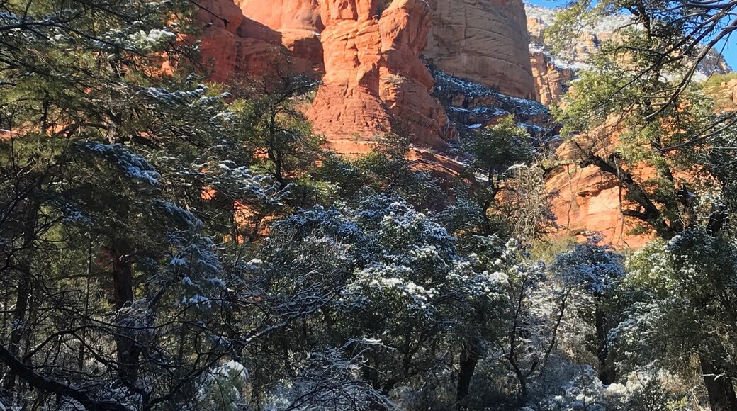 Boynton Canyon Trail, Dec 2019