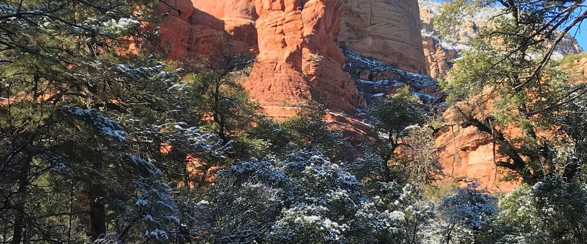 Boynton Canyon Trail, Dec 2019