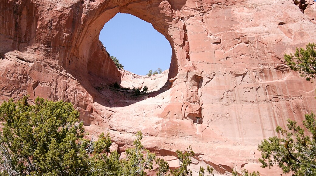 Window Rock