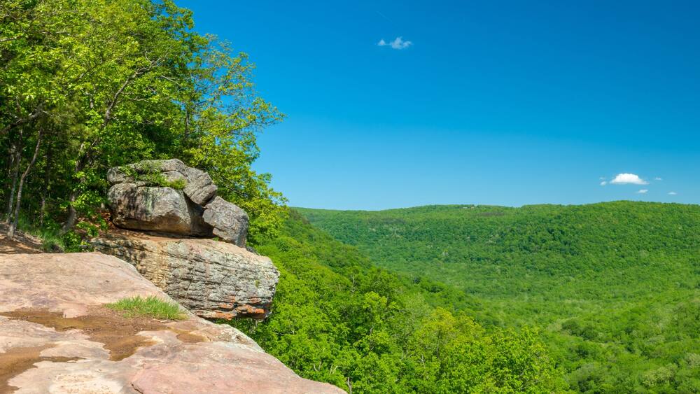A forested valley with a clear sky and a distant mountain peak.