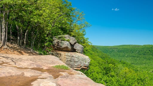 Whitaker Point Landscape view from rock cliff hiking trail, Ozark mountains, nwa northwest arkansas