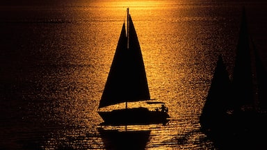 Bismarck showing a sunset and sailing