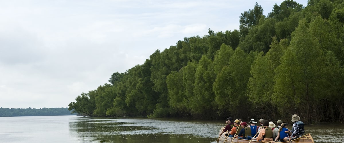 A group of people in a wooden boat on a calm river, surrounded by dense forest.
