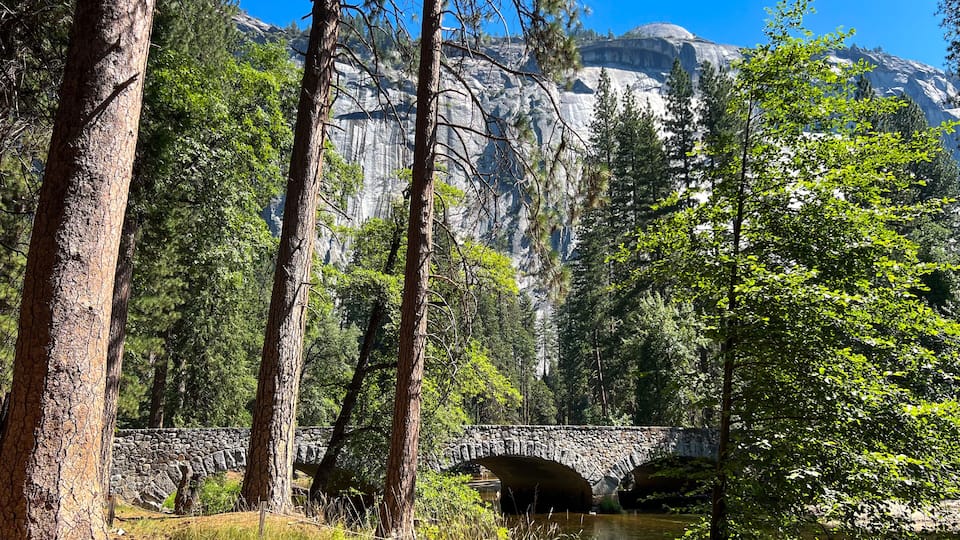 A stone bridge over a river in a forest with tall trees and a rocky mountain in the background.