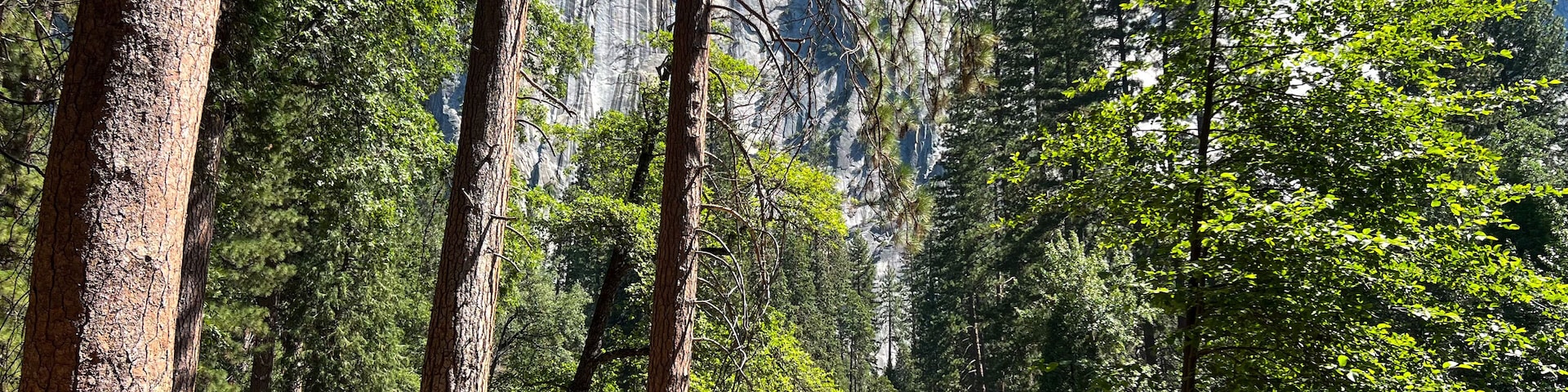 Un puente de piedra sobre un río en un bosque con árboles altos y una montaña rocosa al fondo.