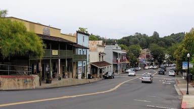 Angels Camp, also known as City of Angels and formerly Angel's Camp, Angels, Angels City, Carson's Creek and Clearlake, is the only incorporated city in Calaveras County, California, United States. The population was 3,835 at the 2010 census, up from 3,004 at the 2000 census. It lies at an elevation of 1378 feet (420 m).
Mark Twain based his short story "The Celebrated Jumping Frog of Calaveras County" on a story he claimed he heard at the Angels Hotel in 1865. The event is commemorated with a Jumping Frog Jubilee each May at the Calaveras County Fairgrounds, just east of the city. Because of this, Angels Camp is sometimes referred to as "Frogtown." Wikipedia
#OnTheRoad