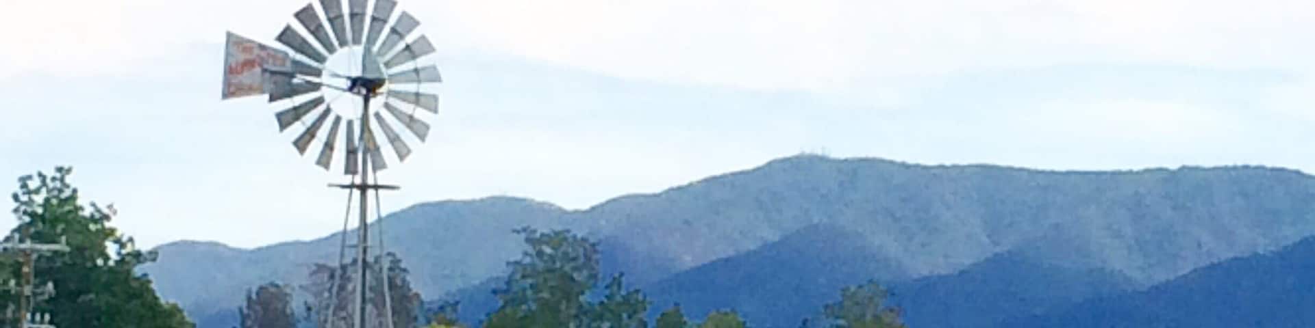 Wine tasting tour in Santa Ynes, California. #roadtrip