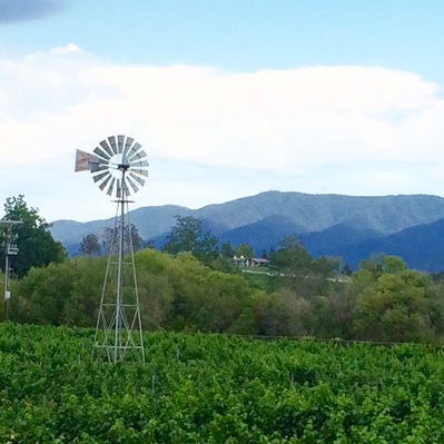 Wine tasting tour in Santa Ynes, California. #roadtrip